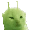 glorpmitosis glorpmitosis