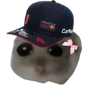 MVHamster Discord emoji