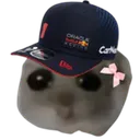 MVHamster