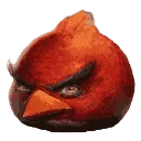 Naym