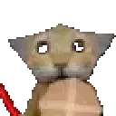 RAAAR