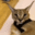 tigercat1
