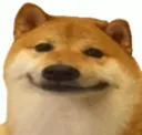 dog_smile