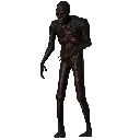 z_scp3