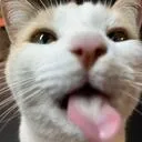 BLEH
