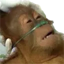 emoji_76