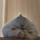 bunhamster Discord sticker from Absolute Glitcher (AG) [🇺🇸🇬🇧/🇹🇭]