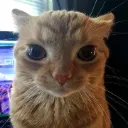 1meohhnmmm