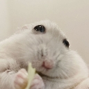 popeyehamster custom emote | Absolute Glitcher (AG) [🇺🇸🇬🇧/🇹🇭]