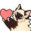 cat_birman_cc