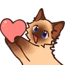 cat_siamese_cc