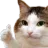 CatThumbsUp