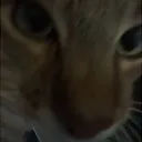 yougotgamesonyourphone