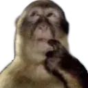 HmmMaybeSo