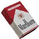 marlborospin