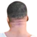 gtabackofhead