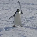 pengu