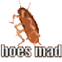 HOES_MAD