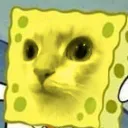 spongehuh