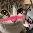 wizikxmrkv