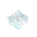 flower2