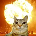 CatExplosion