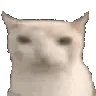 catEat