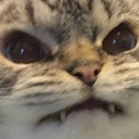 grrrrrr Discord emoji