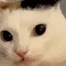 fuh