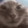 muh