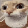 uuh uuh