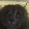 tuh