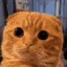 quh