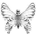 wskeletonbutterfly