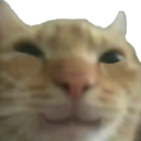 happycat Discord emoji