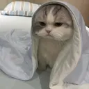 sleepycat