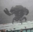 dancing