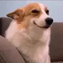 hehe