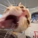br_bite