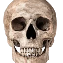 skulll