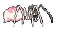10265pinkspider