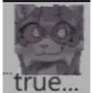 LoppyTrue LoppyTrue