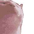 :353281cat1: