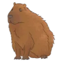 Capybara