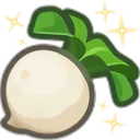 Turnip Turnip