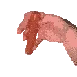 hotdogspinright