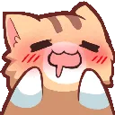 nekodrool