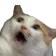 shooketh