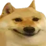 dogesmug
