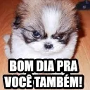 Bomdiapravoctambm